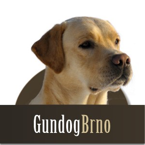 gundog_logo01.jpg